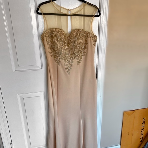 Dresses & Skirts - Illusion Neck Blush Pink Gown with Gold Detail